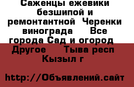 Саженцы ежевики безшипой и ремонтантной. Черенки винограда . - Все города Сад и огород » Другое   . Тыва респ.,Кызыл г.